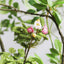 Vienna Artificial Flower Bouquet Close-Up